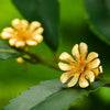 Dainty Daisy - Stud Earrings