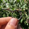 Bird's Marriage - Adjustable Ring