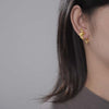 Load image into Gallery viewer, Cyprinus Carpio - Stud Earrings | NEW - MetalVoque